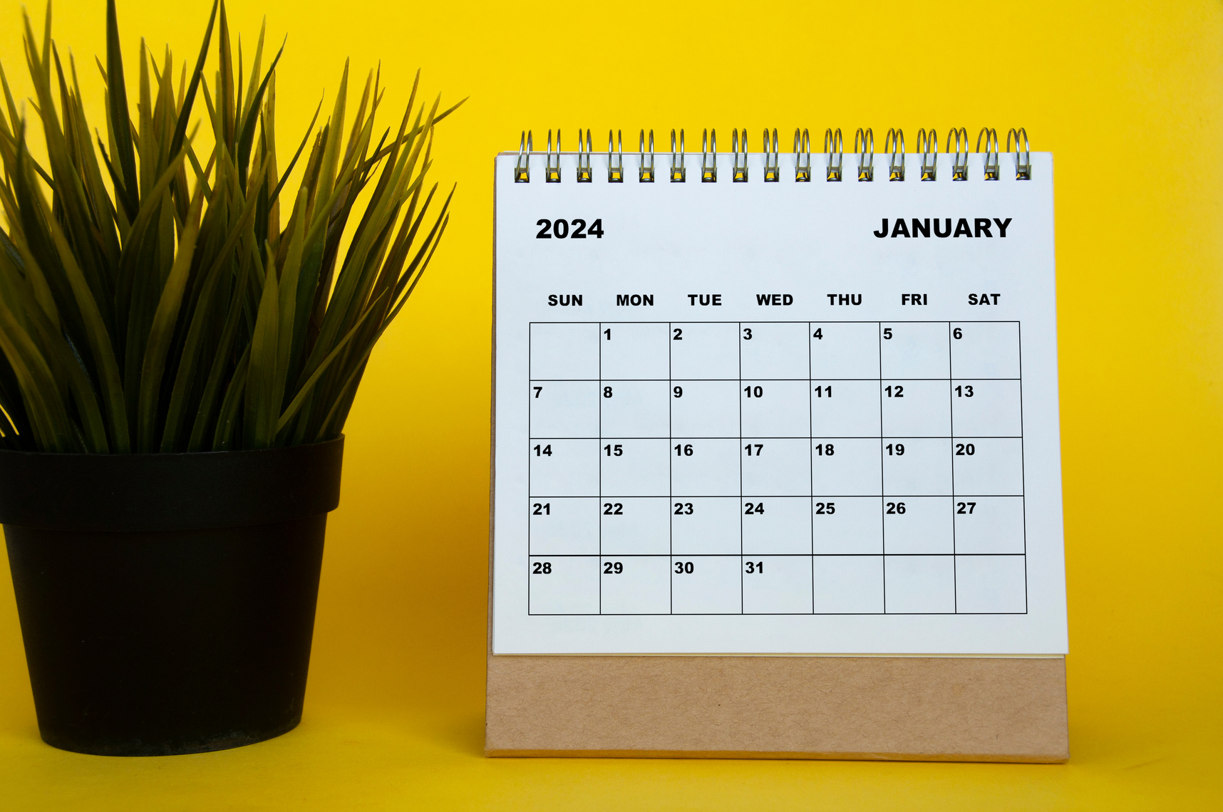 January 2024 month calendar with table plant on yellow cover background. Monthly calendar concept.